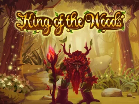 Yolted社最新スロット 『King of the woods』